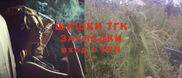 прущие крисы Инта