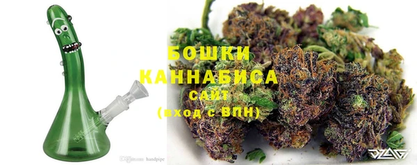 прущие крисы Инта
