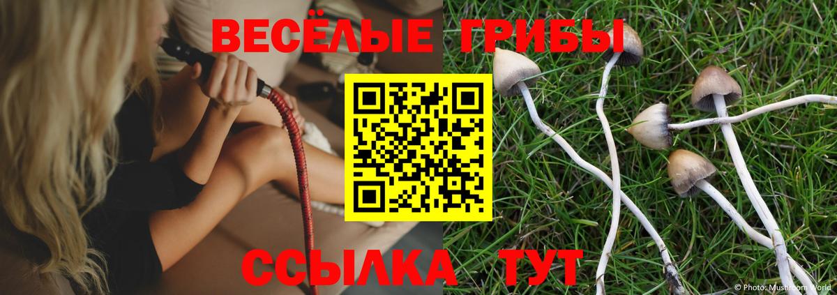 Псилоцибиновые грибы Psilocybe  Вход с VPN  Галлюциногенные грибы ЛСД  Севастополь 